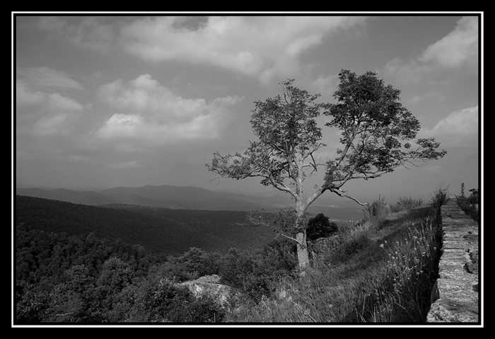 10007_SkyLine_4