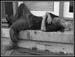 10009_diphoto_1